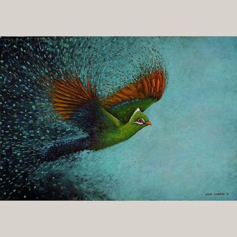 Loerie - Studio Magnetic