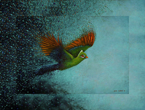 Loerie - Studio Magnetic