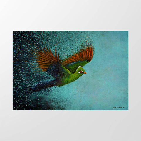 Loerie - Studio Magnetic