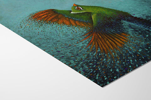 Loerie - Studio Magnetic