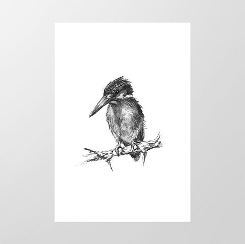 Malachite Kingfisher - Studio Magnetic