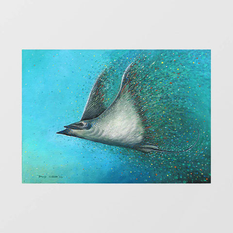 Manta ray - Studio Magnetic