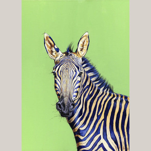 Mountain Zebra on Green - Studio Magnetic
