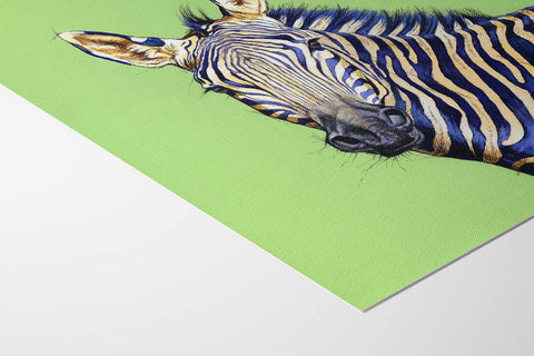 Mountain Zebra on Green - Studio Magnetic