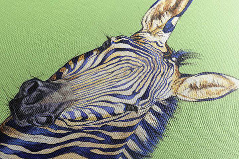 Mountain Zebra on Green - Studio Magnetic
