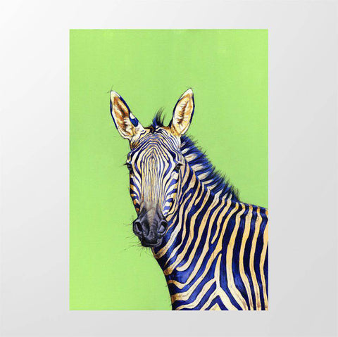 Mountain Zebra on Green - Studio Magnetic