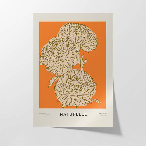 Naturelle iii - Studio Magnetic