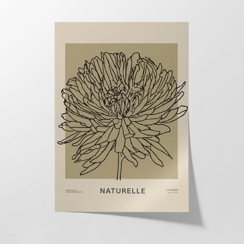 Naturelle iv - Studio Magnetic