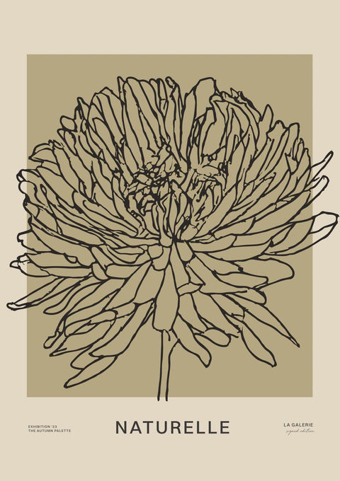 Naturelle iv - Studio Magnetic