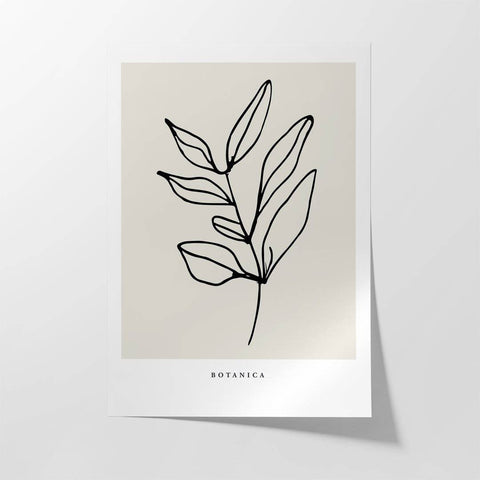 Olyfblaar - Studio Magnetic