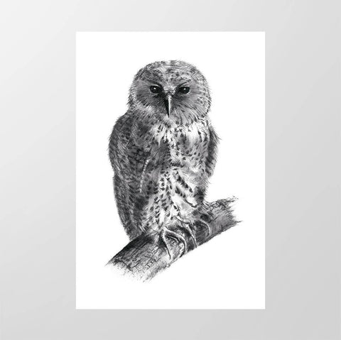 Pel's Fishing Owl - Studio Magnetic