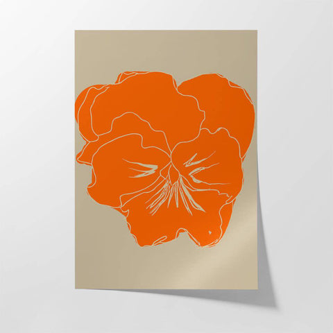 Petunia ii - Studio Magnetic