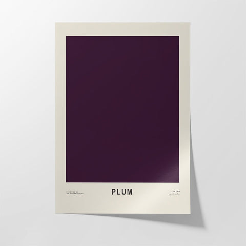 Plum - Studio Magnetic