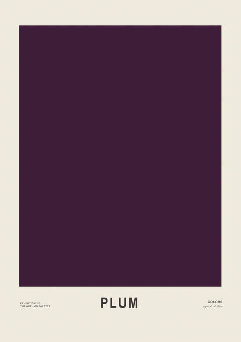 Plum - Studio Magnetic