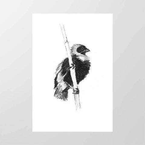 Red Bishop - Studio Magnetic