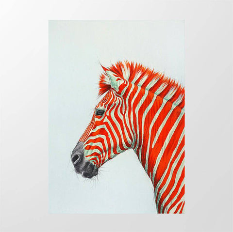 Red Zebra - Studio Magnetic