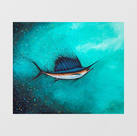 Sail Fish - Studio Magnetic