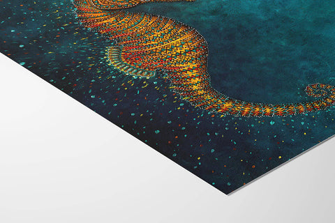Seahorse - Studio Magnetic