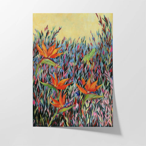 Summer Strelitzias - Studio Magnetic