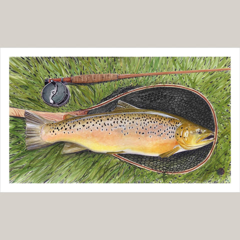 Trout in net - Studio Magnetic