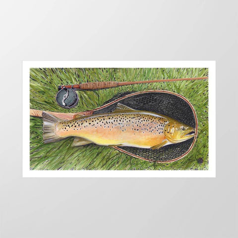 Trout in net - Studio Magnetic