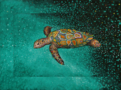 Turtle 1 - Studio Magnetic