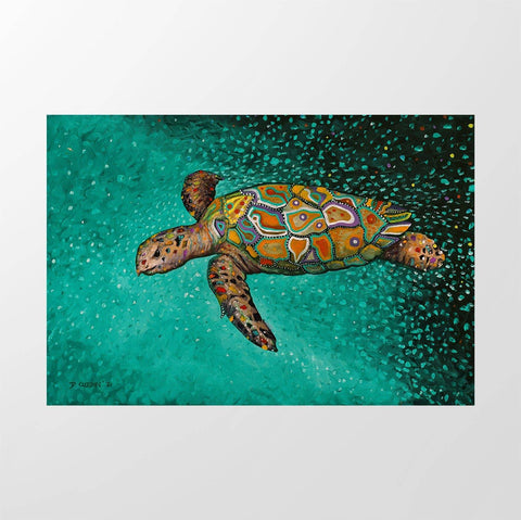 Turtle 1 - Studio Magnetic