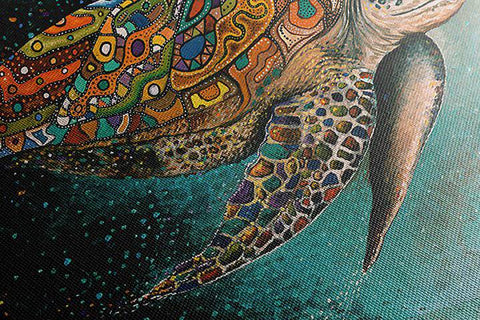 Turtle 2 - Studio Magnetic