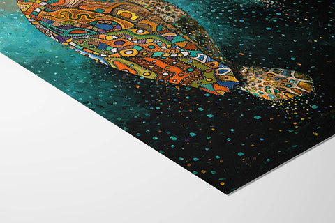 Turtle 2 - Studio Magnetic