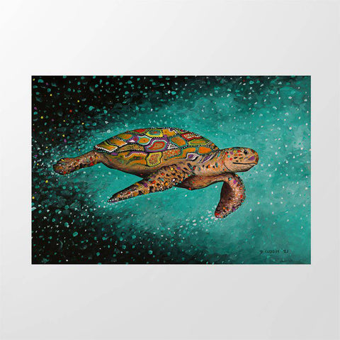 Turtle 3 - Studio Magnetic