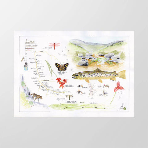 Witte Map - Studio Magnetic