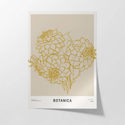 Botanica v - Studio Magnetic