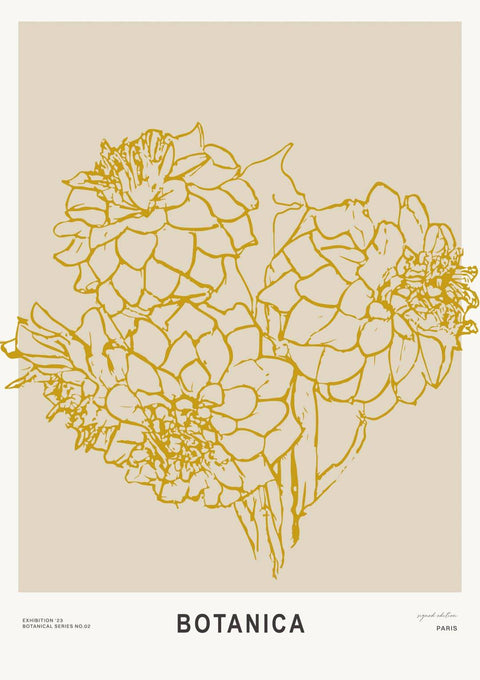 Botanica v - Studio Magnetic