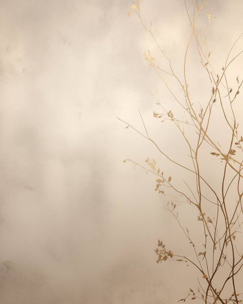 Botanical Bliss - Studio Magnetic