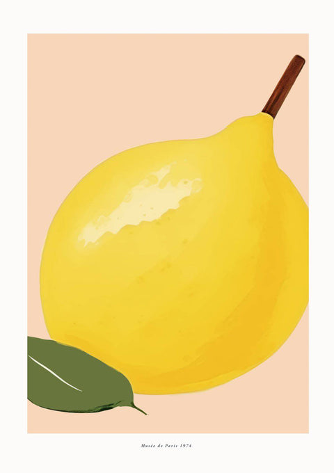 Citron Nr.2 - Studio Magnetic