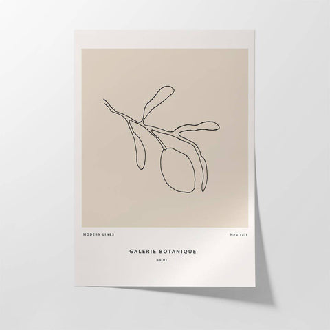 Galeri Botanica - Studio Magnetic