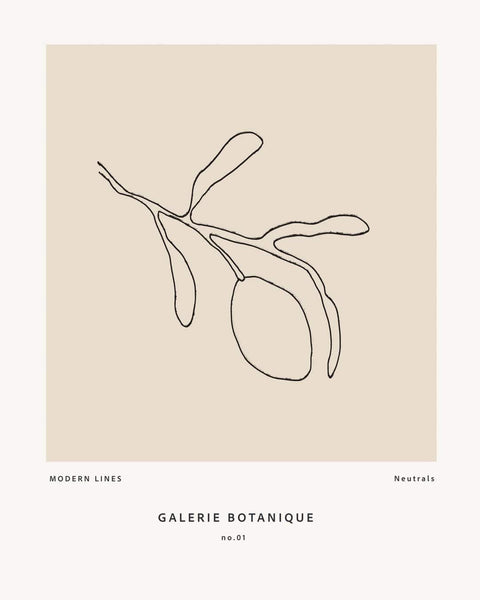 Galeri Botanica - Studio Magnetic