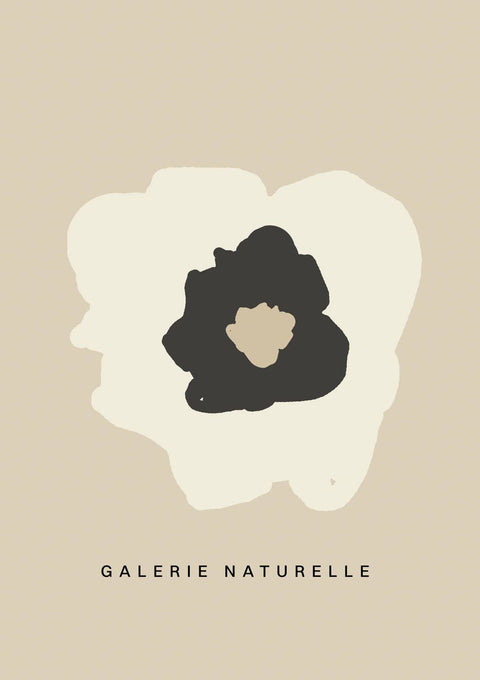 Galerie Naturelle i - Studio Magnetic