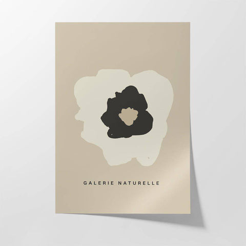 Galerie Naturelle i - Studio Magnetic