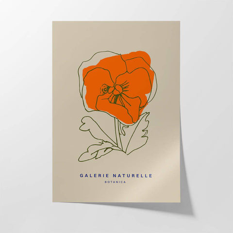 Galerie Naturelle iii - Studio Magnetic