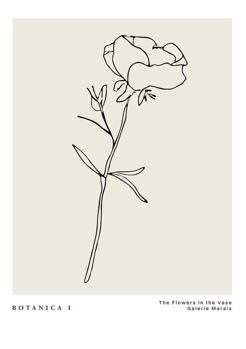 Le Botanica No3 - Studio Magnetic