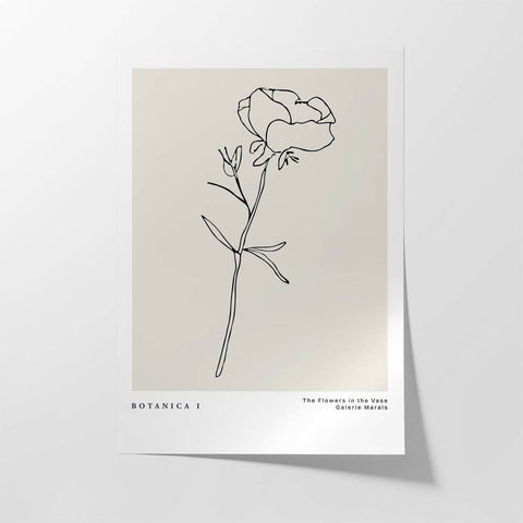 Le Botanica No3 - Studio Magnetic