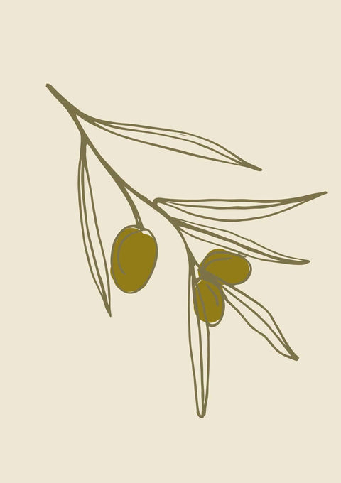 Mediterranean Roots ii - Studio Magnetic