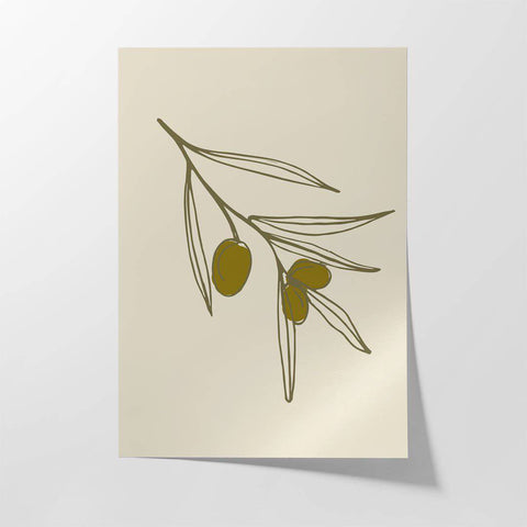 Mediterranean Roots ii - Studio Magnetic