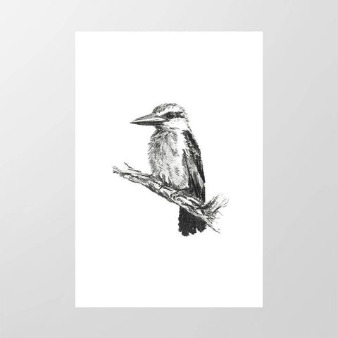 Woodland Kingfisher - Studio Magnetic